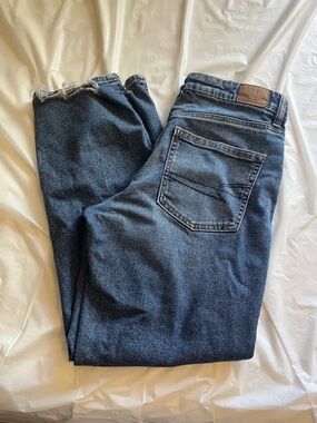 American Eagle Outfitters Medium Wash Jeans
